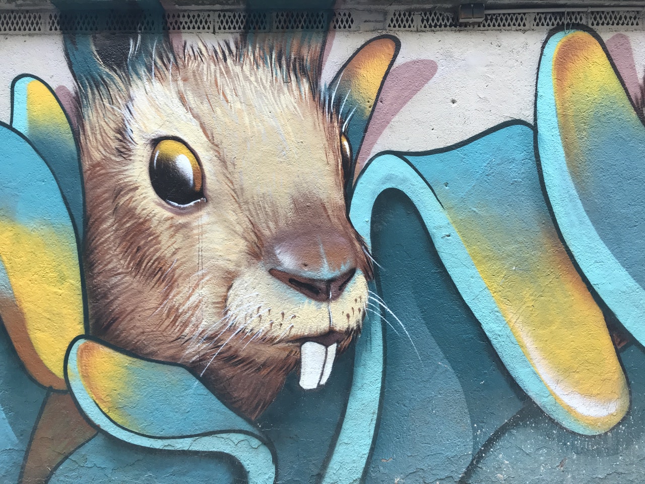rabbit-grafitty